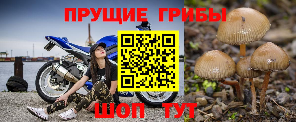 Новочеркасск  Галлюциногенные грибы GOLDEN TEACHER  Вход с VPN  Галлюциногенные грибы Magic Shrooms 